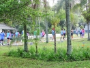 CIRCUITO ECO II PARQUE CERET (102)