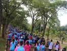 CIRCUITO ECO II PARQUE CERET (791)