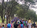 CIRCUITO ECO II PARQUE CERET (963)