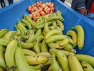 DSC08656